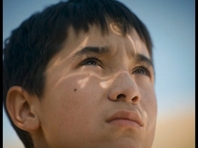映画『ボタニスト　植物を愛する少年』予告編