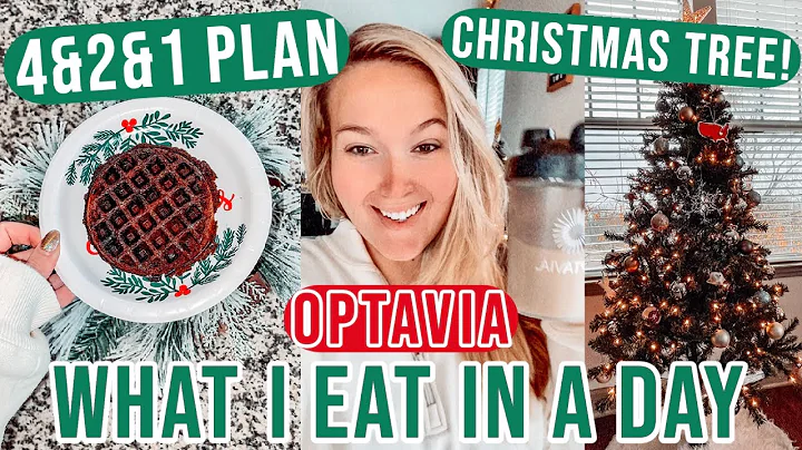 VLOG // WHAT I EAT IN A DAY ON MY 4&2&1 PLAN + FITNESS JOURNEY UPDATE + MORE CHRISTMAS DECOR!