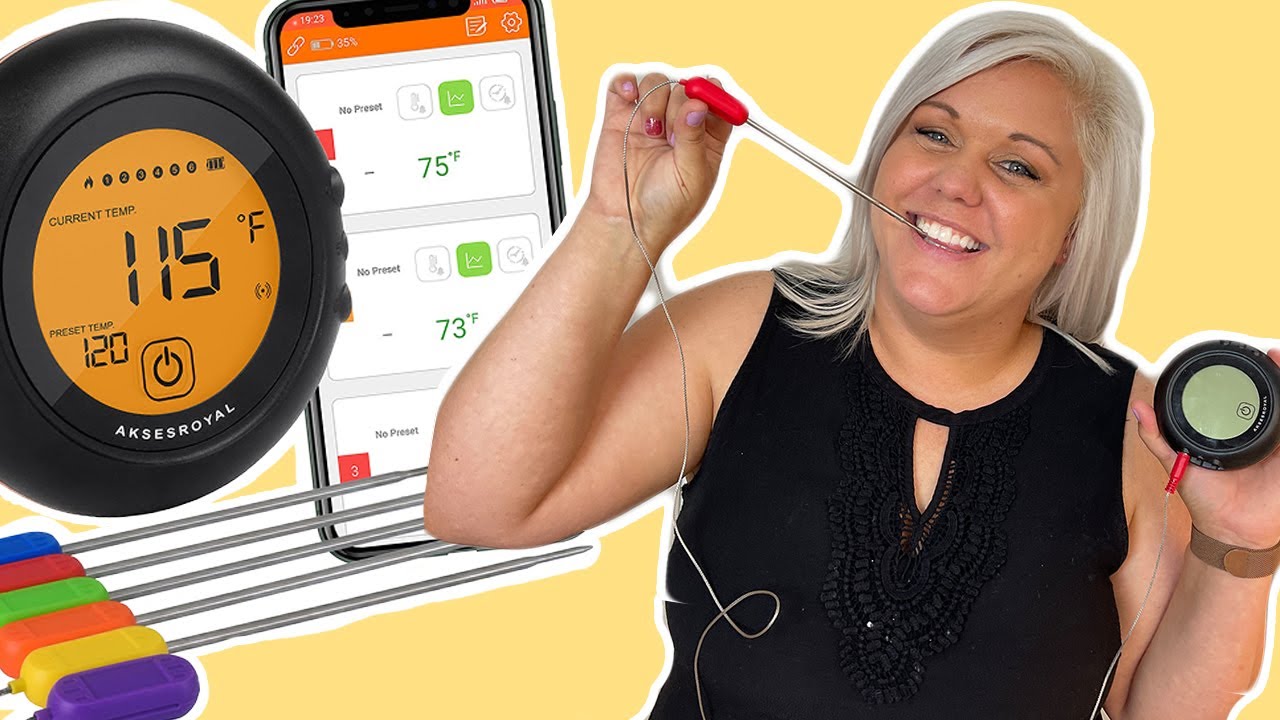 The BEST Meat Thermometer for Everything