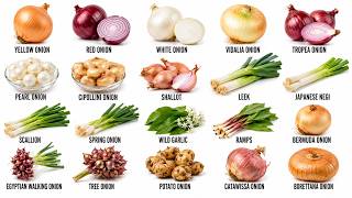 Every Onions Explained in 8 Minutes