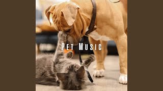Joyful Rhythms for Furry Friends