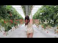 【Vrog】いちごが狩れないいちご狩りに行きました？