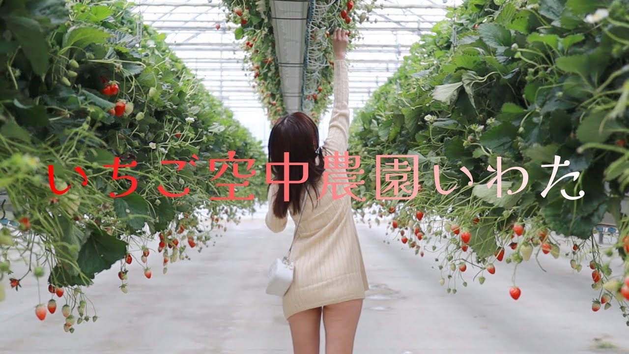 【Vrog】いちごが狩れないいちご狩りに行きました？