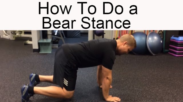 This move will Blast your core!   Put the Bear stance in your workout today!
