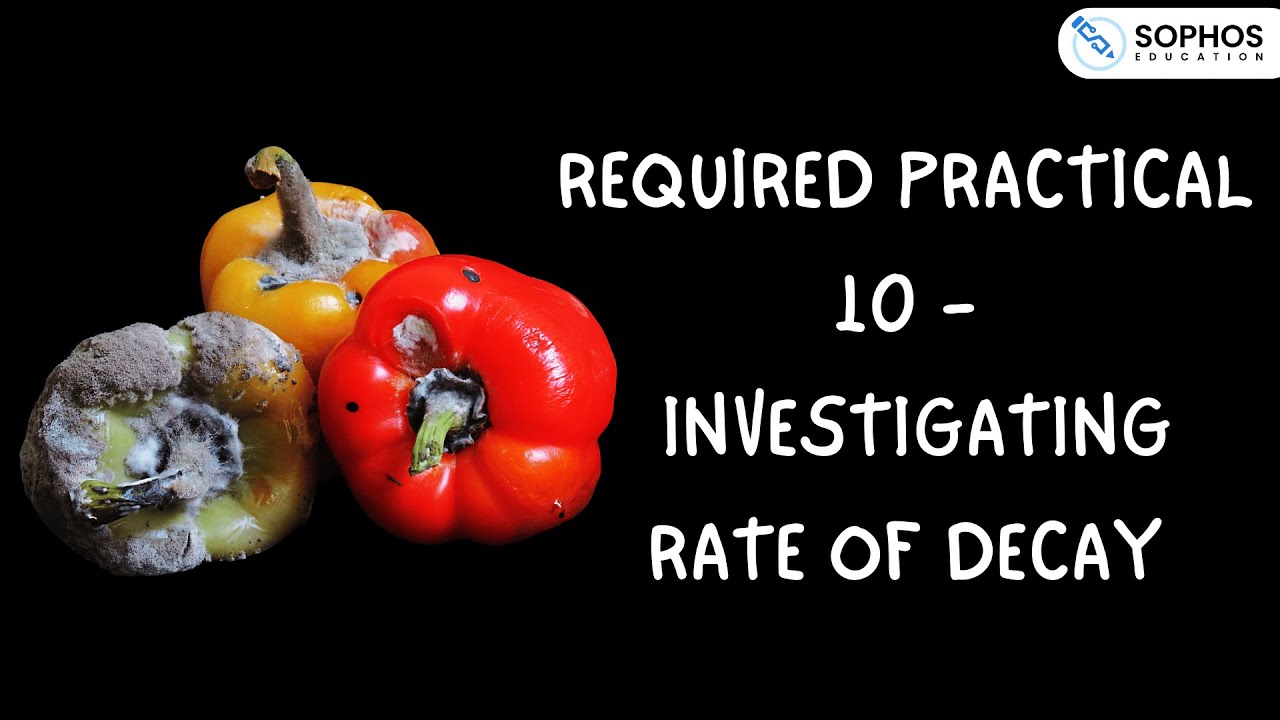 Required Practical 10: Investigating Rate of Decay - YouTube