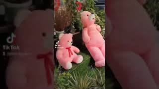 Sevgililer Gününde Sevgilime Çiçek Alırken Sevgilim Olmadığı Aklıma Gelmiştir