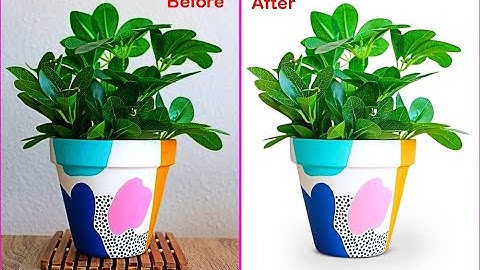 How to background removal service I cut out images I clipping path zoom