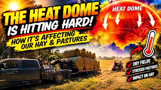 What the heck is a heat dome & how is it affecting our hay & pastures?!?