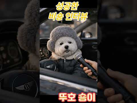“이 비숑… 차가 벤틀리입니다” #댕댕이 #반려견 #강아지