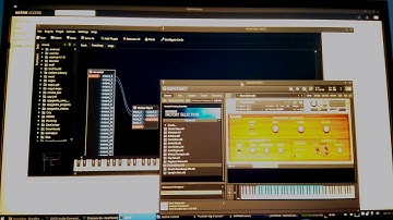 [2019] Native Instruments (Kontakt Player, Guitar Rig) running on Linux