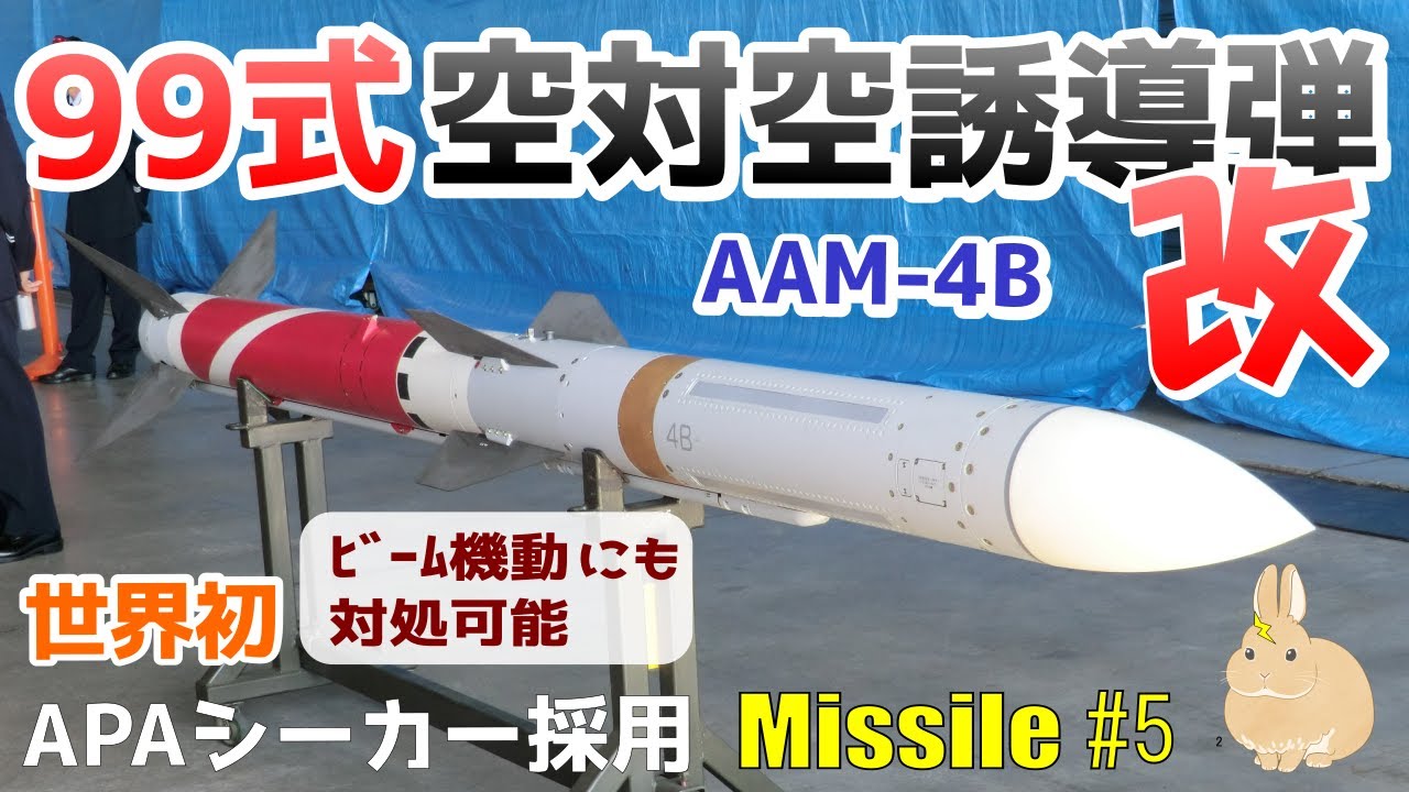 【ロシア】アンモナイト【amm4】 ロシア】アンモナイト【amm4】