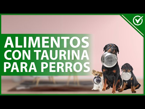 Video: Contenido de taurina en alimentos para perros