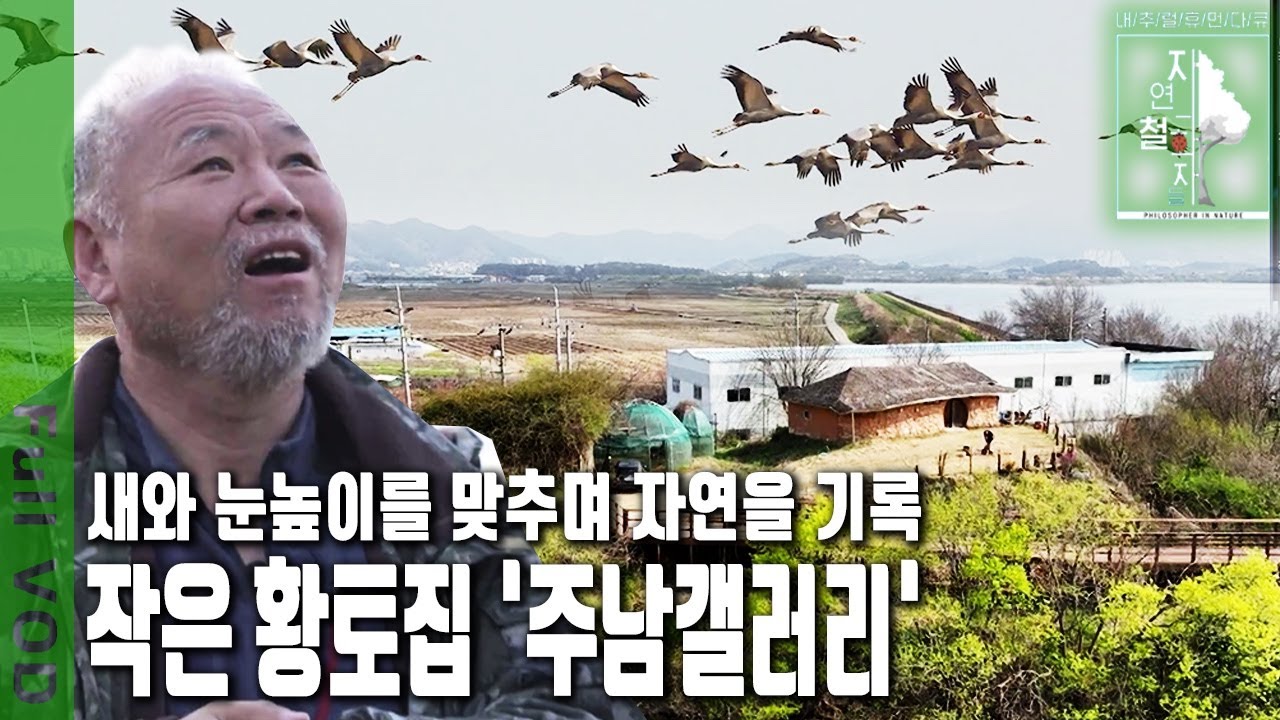 철새도래지인 ‘주남저수지’에 ‘주남갤러리’ 간판을 걸고 있는 작은 황토집 | 자연의 철학자들 51부 새와 함께 춤을 (KBS 20230407 방송)
