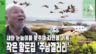 철새도래지인 ‘주남저수지’에 ‘주남갤러리’ 간판을 걸고 있는 작은 황토집 | 자연의 철학자들 51부 새와 함께 춤을 (KBS 20230407 방송)