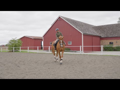 Walking Pirouette with Elenore Simberg