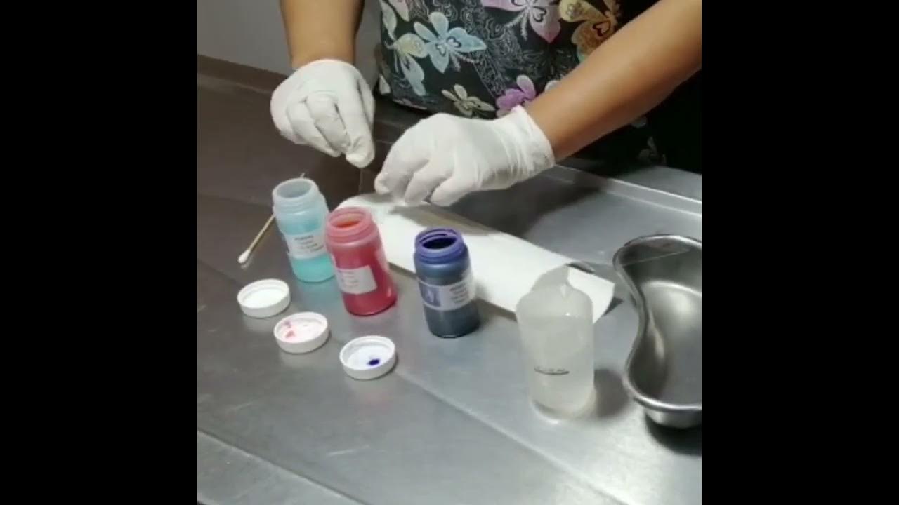TINCION DIFF QUICK EN LA CLINICA VETERINARIA YouTube