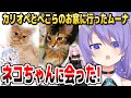 ムーナが語る、ぺこらとカリオペの家のネコの性格の違い【ホロライブID切り抜き/ムーナ・ホシノヴァ/兎田ぺこら/森カリオペ/日本語翻訳】