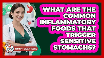 What Are The Common Inflammatory Foods That Trigger Sensitive Stomachs? - Sensitive Stomach Guide