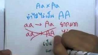ormBio : พันธุกรรม ตอน5