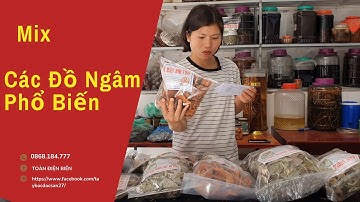 Rễ Mú Từn - Ba kích Tím - Dâm Dương Hoắc - Nấm Ngọc Cẩu - Sâm Tiên Mao