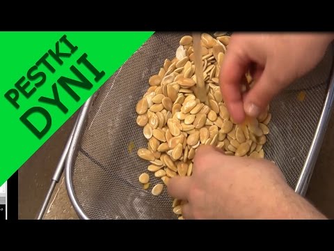 Wideo: Jak Wysuszyć Pestki Dyni