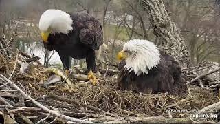 Decorah Eagles 4-6-20, 9:45 am DM2's Fast Fish Delivery-9 fish in 15 minutes
