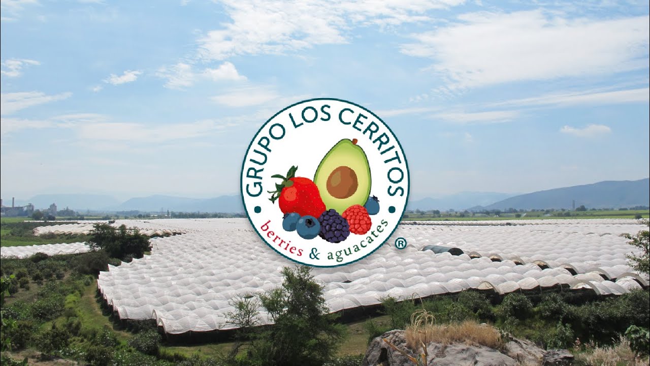 Somos Grupo Los Cerritos YouTube