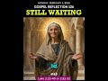 Still Waiting | Luke 2:22-40 or 2:22-32 | Reflection 126