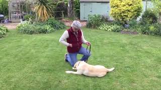 Training with Alison Hornsby - Lesson 10 Developing the Down