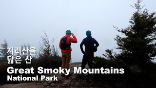 Silent Hiking 〈Alum Cave Trail 〉 Great Smoky Mountains National Park / Day Hiking