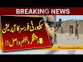 Security Forces Operation | 8 Terrorists Eliminated | Breaking News | Pakistan News