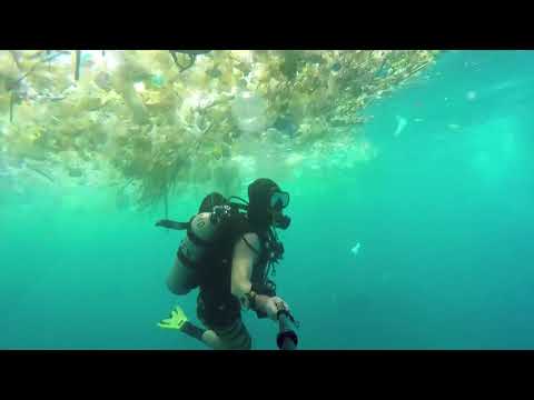 Is The Water In Bali Polluted