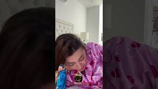 Milagros flores enojada con cordero