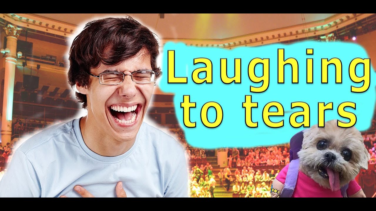 Laughing to tears Cutest Puppies tik tok dogs YouTube