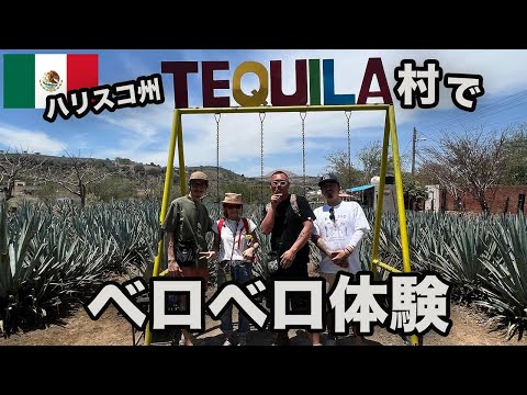 🇲🇽ハリスコ州テキーラ村でベロベロ体験