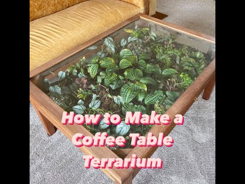 Here's How to Make Your Own Terrarium Coffee Table — DIY Terrarium Coffee  Table Guide