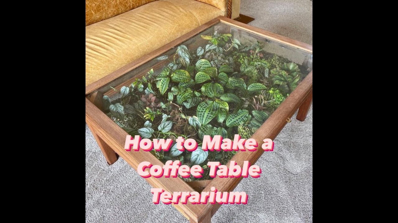 I Put a Waterfalls Terrarium in my Table (Custom Build) 