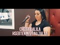 أغنية Cheba Dalila - Hsebtek Niveau Tale3 avec AMINE LA COLOMBE (AVM EDITION) 2018