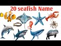 20 समुद्री जीवों के नाम हिंदी और इंग्लिश मे | 20 Seafish Name hindi and english