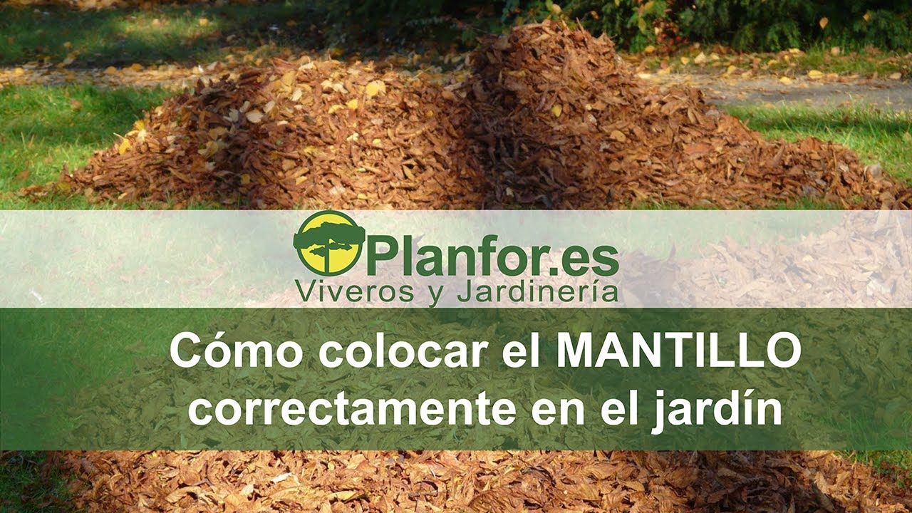 Como colocar el mantillo correctamente en el jardín ? YouTube