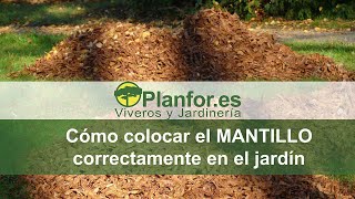 Como colocar el mantillo correctamente en el jardín ?