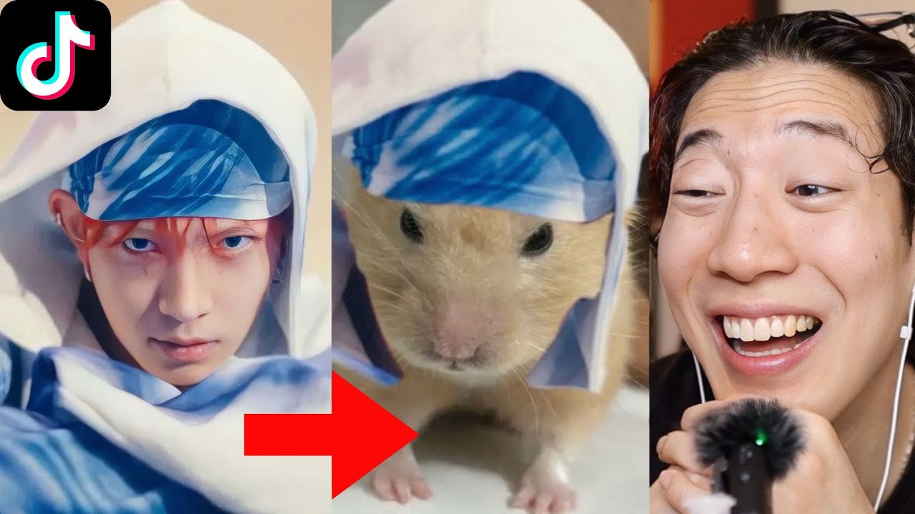 Enhypen TikTok Edits, потому что их возвращение стало ХИТОМ