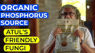 ORGANIC PHOSPHORUS source - ATUL's Friendly Fungi