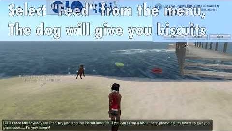 LOLO Pet Dog in Second Life