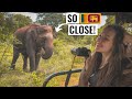 ELEPHANTS & JACKALS, UDAWALAWE SAFARI | SRI LANKA VLOG