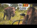 You wont believe what happened on our sri lanka safari udawalawe