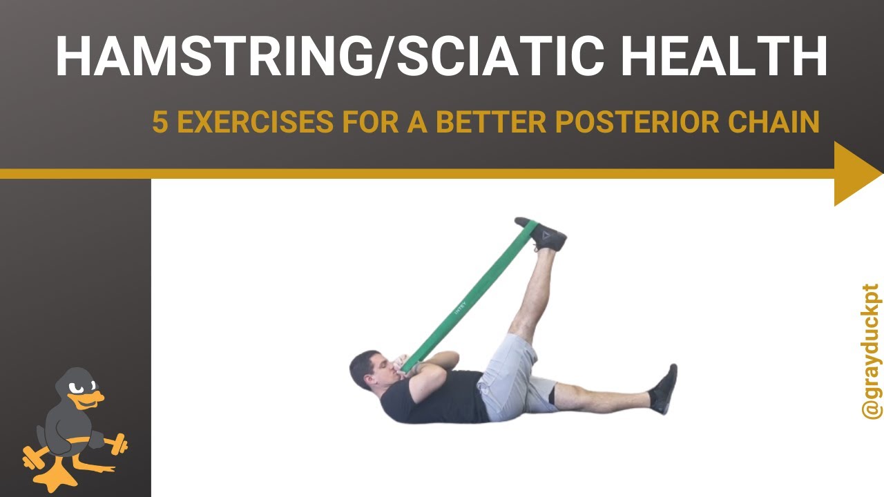 Hamstring & Sciatic Health  - Sciatica Relief -  Physical Therapy Mounds View, MN