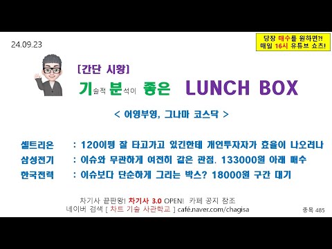 [<strong>런치박스</strong>] 어영부영, 그나마 코스닥 #셀트리온 #삼성전기 #한국전력 240923