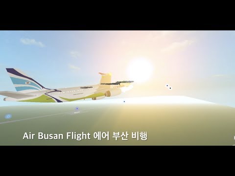Air Busan Flight 에어 부산 비행 [AviatorForela]