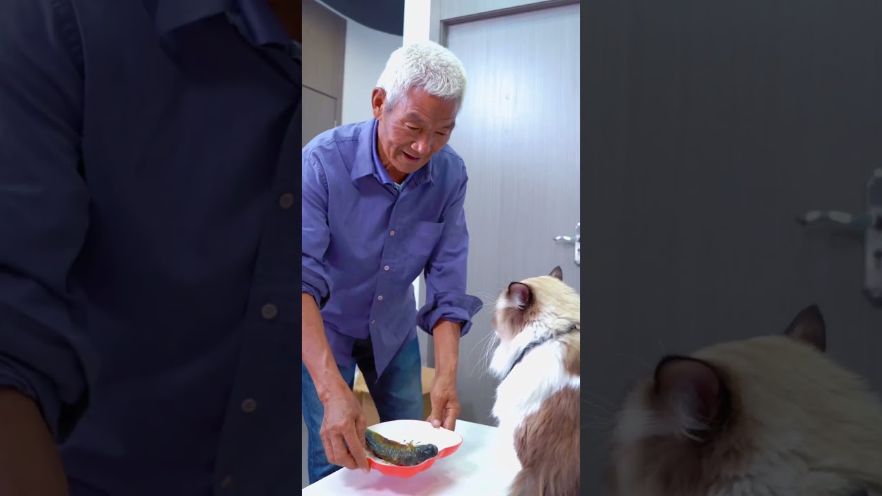 The Privileged Younger Brother Never Knew About His Sister's Hidden Sacrifice